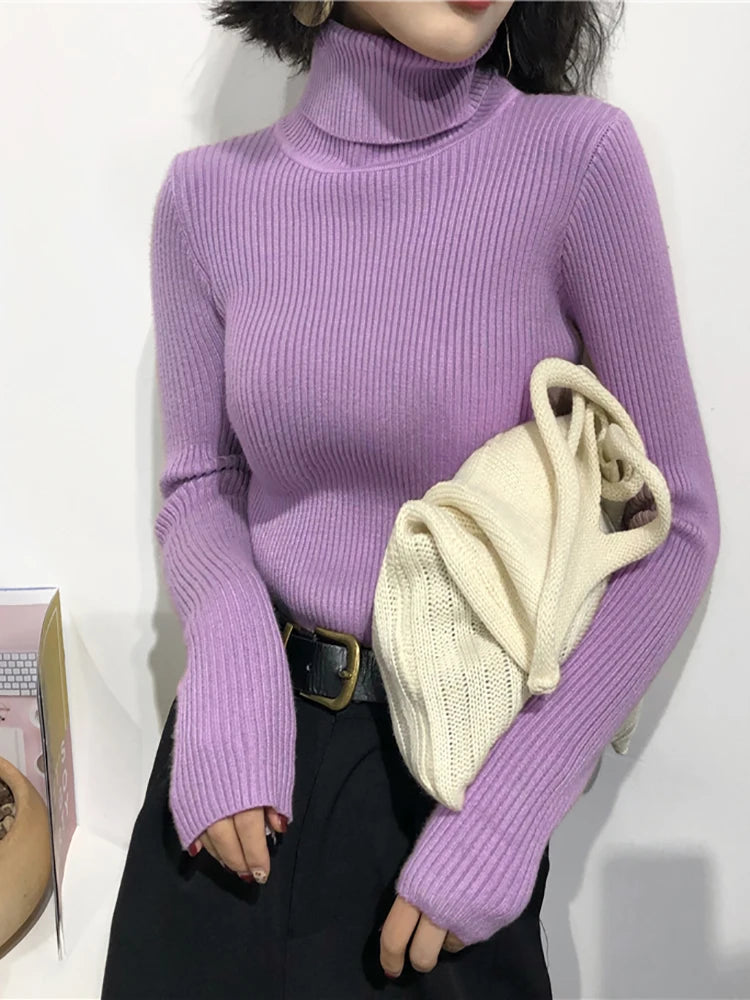 Rib Knit Turtleneck