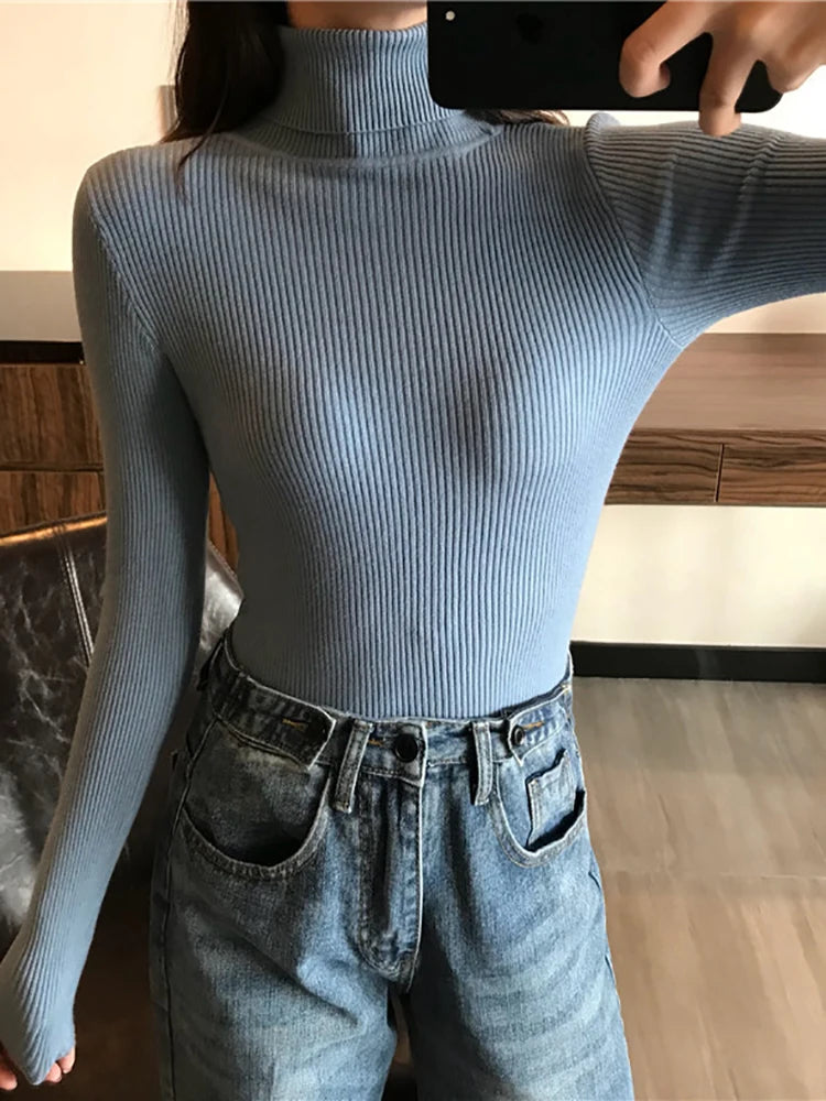 Rib Knit Turtleneck