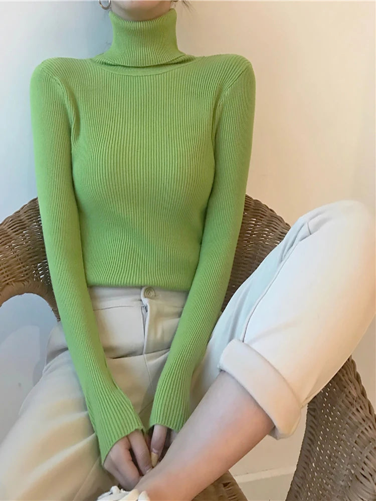 Rib Knit Turtleneck